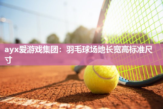 羽毛球场地长宽高标准尺寸