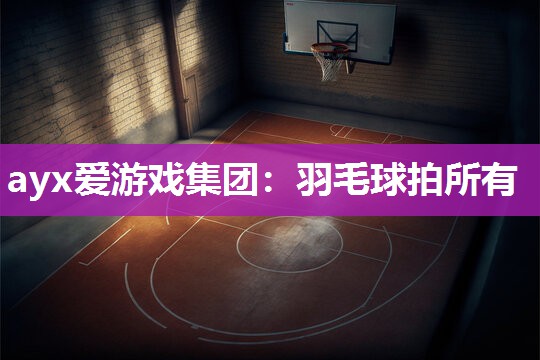 羽毛球拍所有