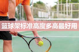 篮球架标准高度多高最好用