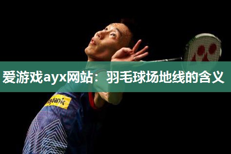 羽毛球场地线的含义