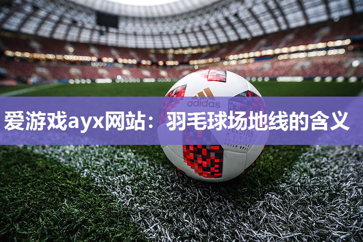羽毛球场地线的含义