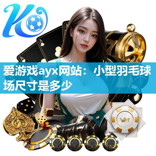 小型羽毛球场尺寸是多少
