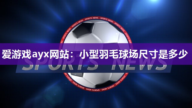 小型羽毛球场尺寸是多少